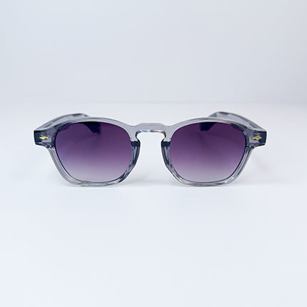 PURPLE VISION